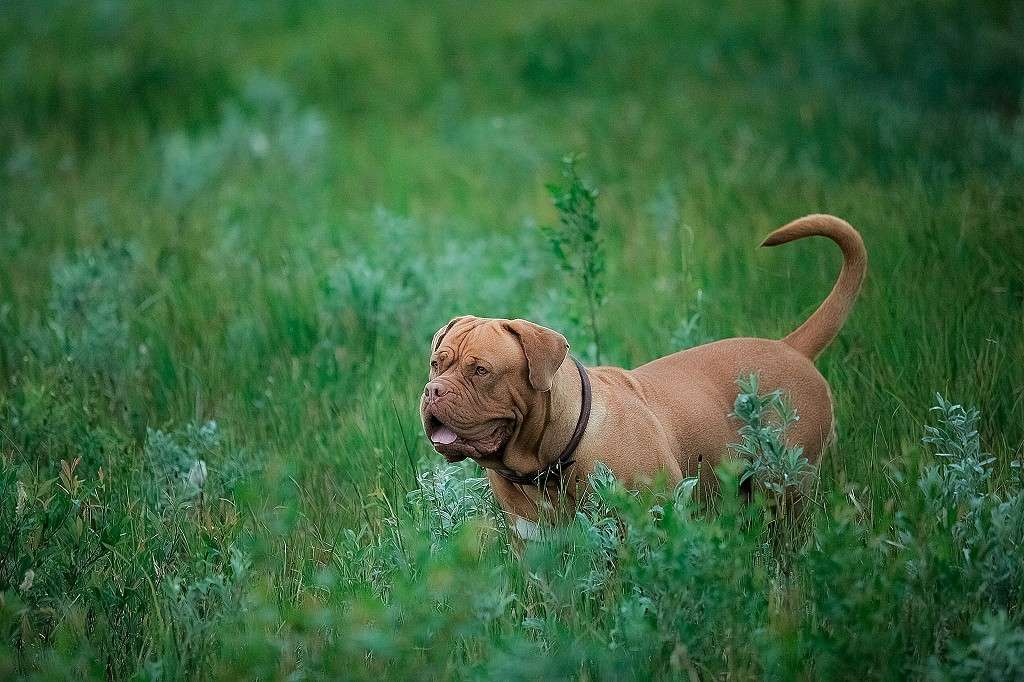 ... ����� ���������� ���������� �� PhotoGeek.ru #�������� ���