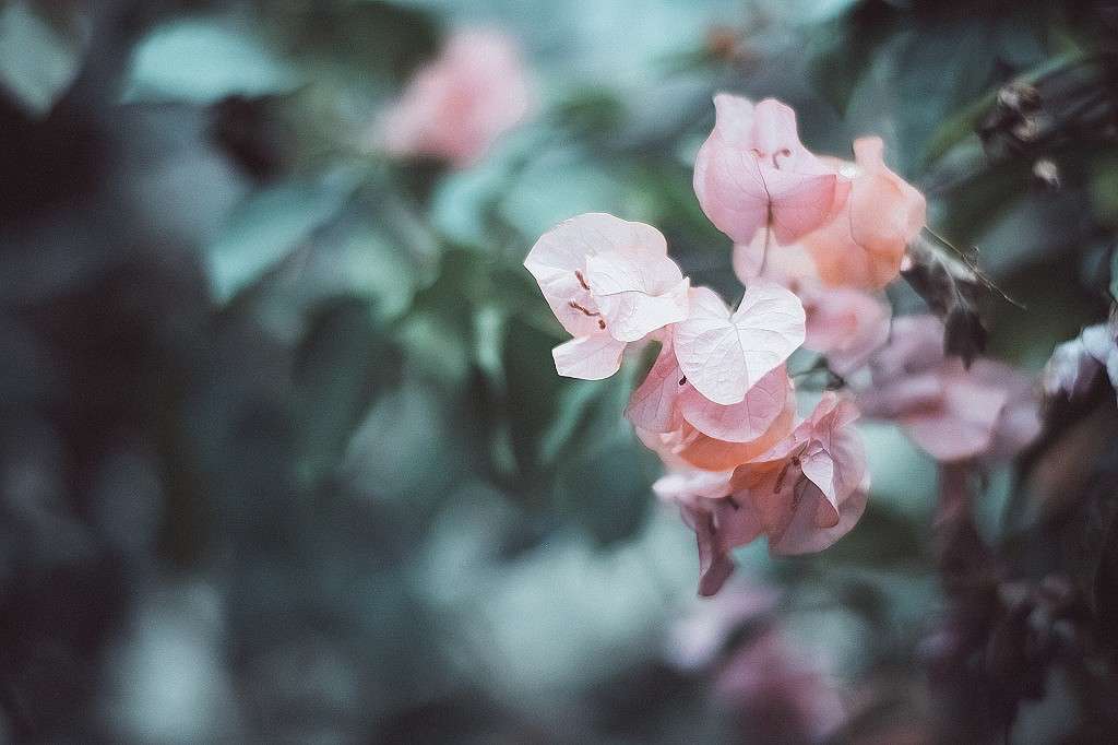 ... ����� ���������� ���������� �� PhotoGeek.ru #������ ��� �������