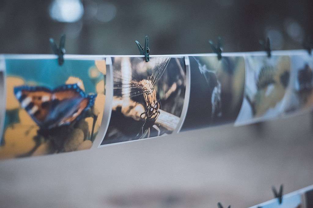 ... ����� ���������� ���������� �� PhotoGeek.ru #��������� ���������� #�������� ���������� #��������