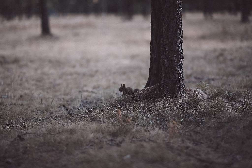 ... ����� ���������� ���������� �� PhotoGeek.ru #�������� ��� #������ ��� �������