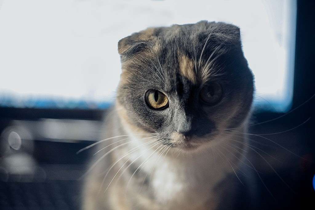 ... ����� ���������� ���������� �� PhotoGeek.ru #�������� ���