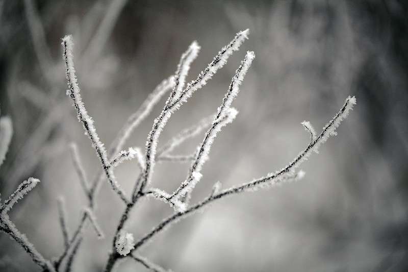 ... ����� ���������� ���������� �� PhotoGeek.ru #����� #������ ��� �������