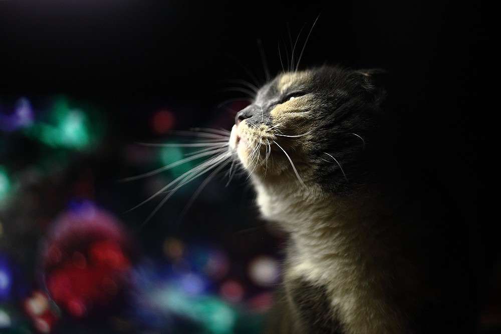 ... ����� ���������� ���������� �� PhotoGeek.ru #�������� ���