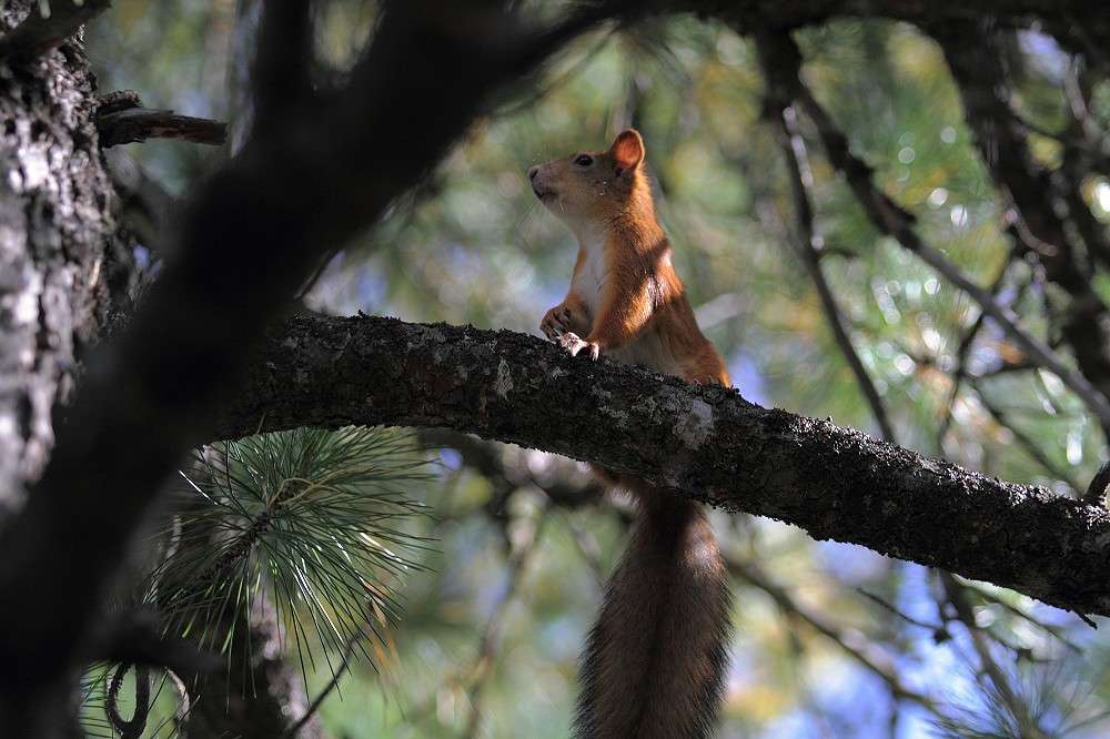 ... ����� ���������� ���������� �� PhotoGeek.ru #�������� ���