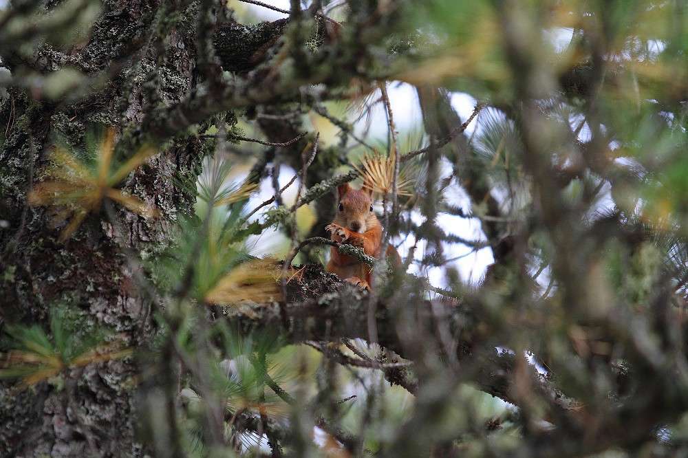 ... ����� ���������� ���������� �� PhotoGeek.ru #�������� ���