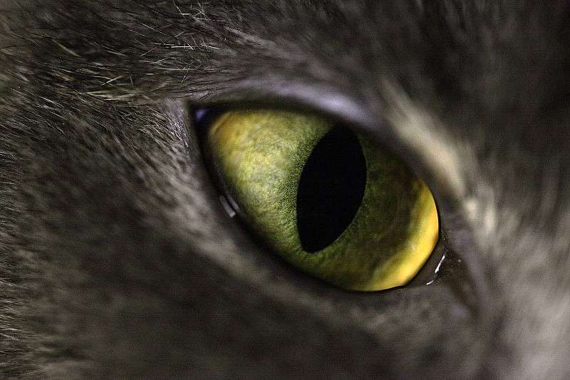 ... ����� ���������� ���������� �� PhotoGeek.ru #����� #�������� ���