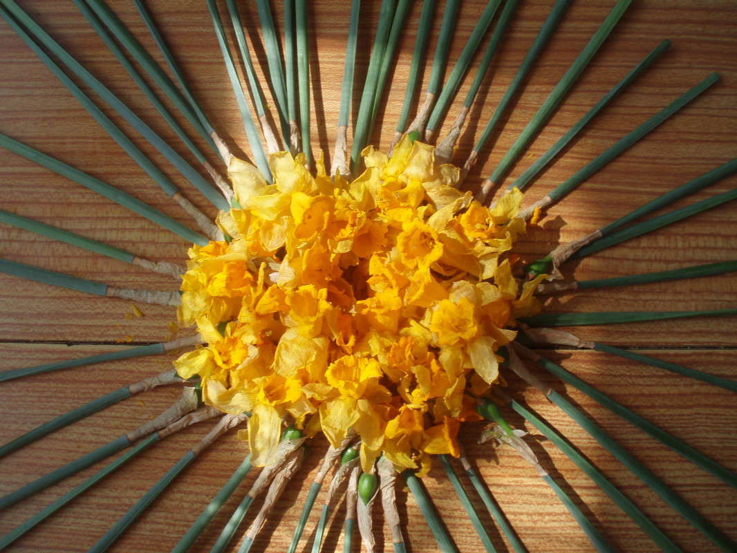 �������� ����� ����� ������� �� PhotoGeek.ru #���������