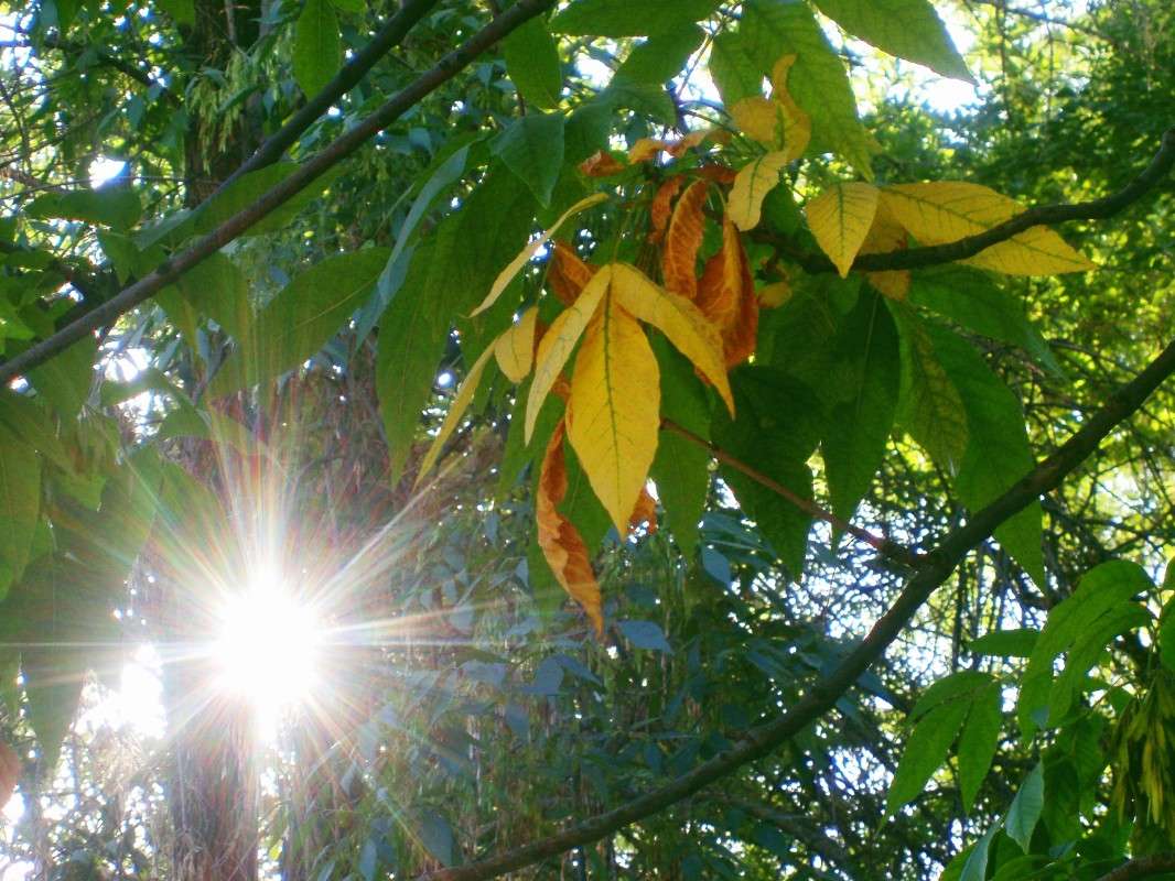 ������ ������ ����� ����� ������� �� PhotoGeek.ru #������ ��� �������