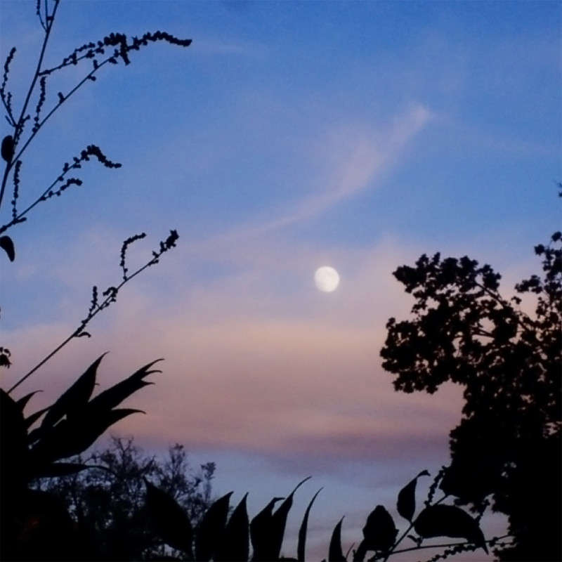 ������� ����� ����� ������� �� PhotoGeek.ru #������ ��� �������