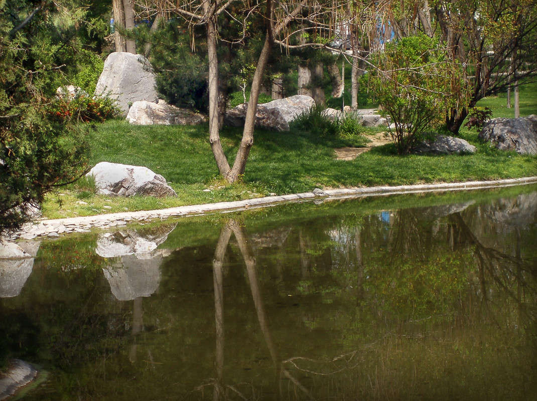 �  � Y ��������� ���� ����� ����� ������� �� PhotoGeek.ru #������ ��� �������