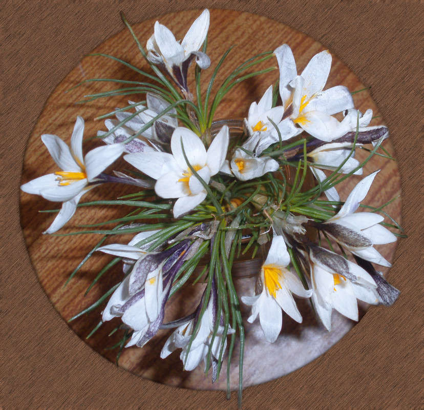 ���� ������� "������" ����� ����� ������� �� PhotoGeek.ru #��������� #������ ��� �������