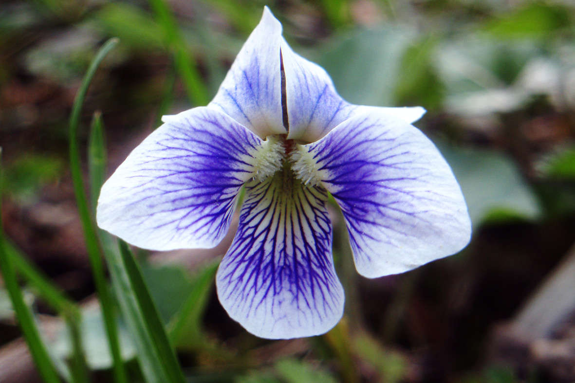 �������� ����� ����� ������� �� PhotoGeek.ru #������ ��� �������