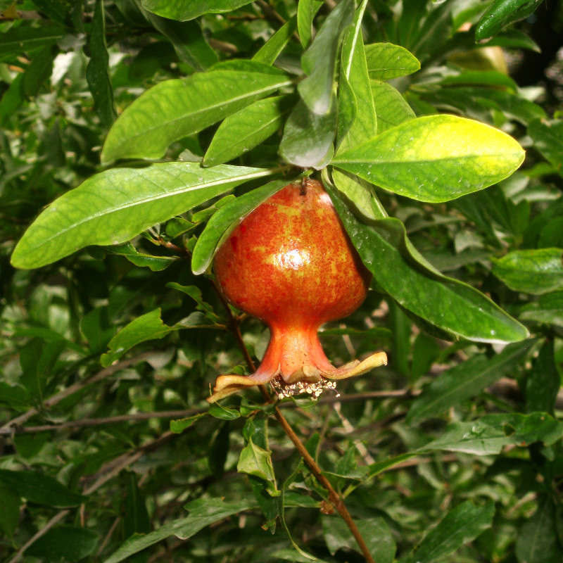 ��������, ���� ��������� ����� ����� ������� �� PhotoGeek.ru #������ ��� �������