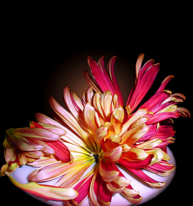 ������ ����� ����� ����� ����� ������� �� PhotoGeek.ru #���������