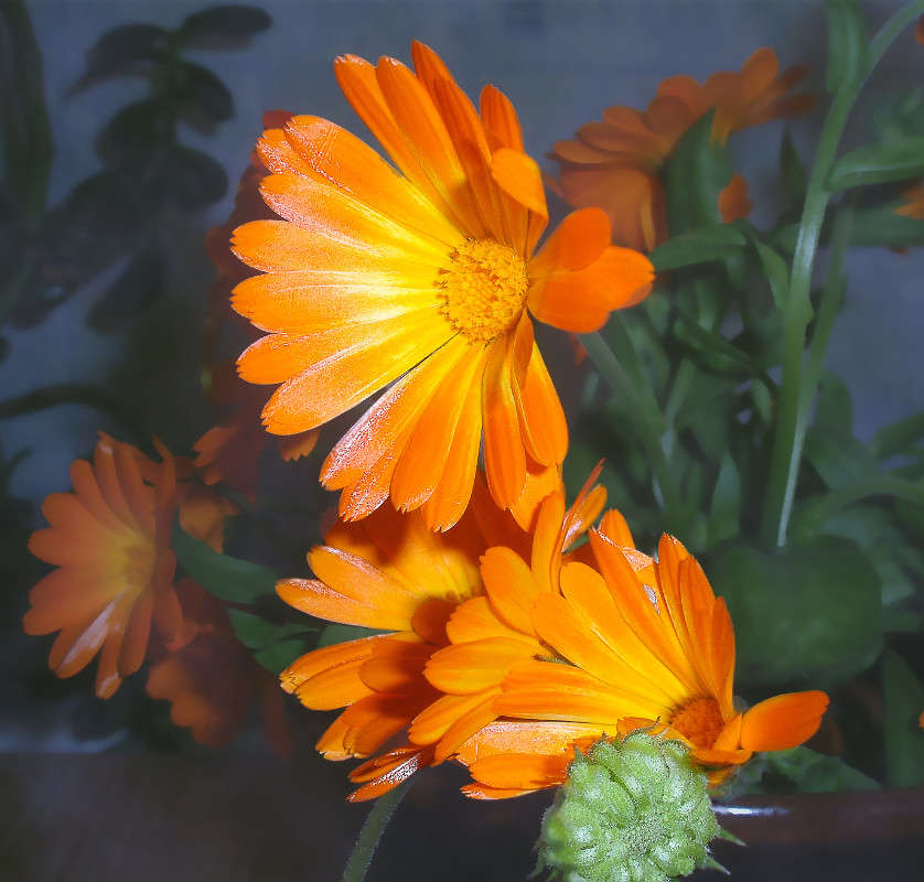 ���������. ���������� � ������� ����� ����� ������� �� PhotoGeek.ru #���������