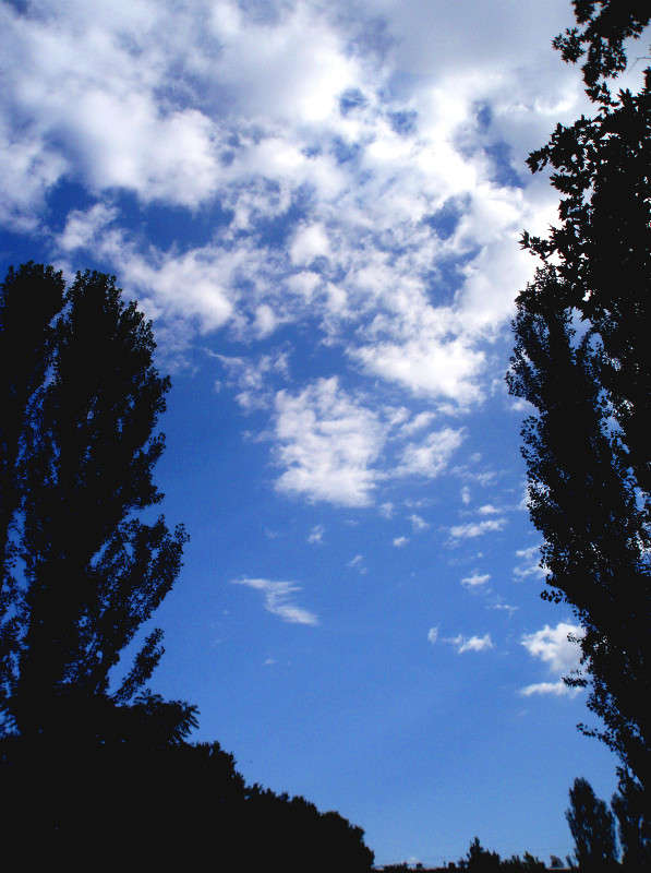 �������� � ����� (������ ����) ����� ����� ������� �� PhotoGeek.ru #������ ��� �������