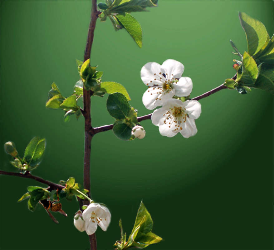 ������� � ������ ����� ����� ������� �� PhotoGeek.ru #������ #������ ��� �������