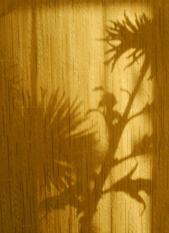 ����� ���� ����� ����� ������� �� PhotoGeek.ru #���������