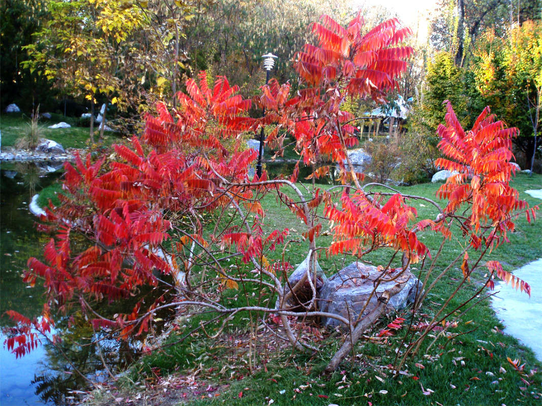 ������� ����� ����� ����� ������� �� PhotoGeek.ru #������ ��� �������