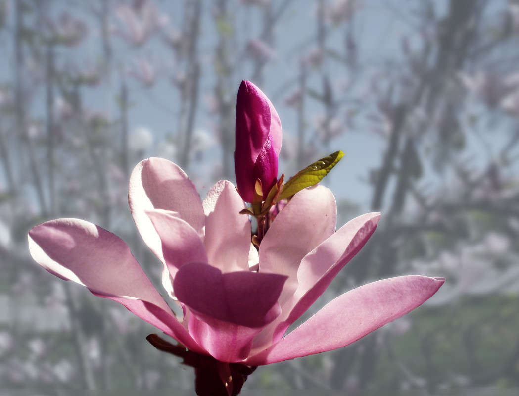 �����-�� ��� ���� ����� ����� ������� �� PhotoGeek.ru #������ ��� �������