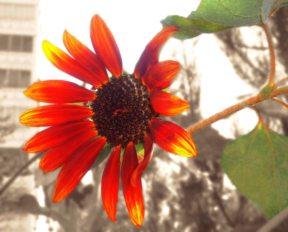 ��������� ����� ����� ������� �� PhotoGeek.ru #������ ��� �������