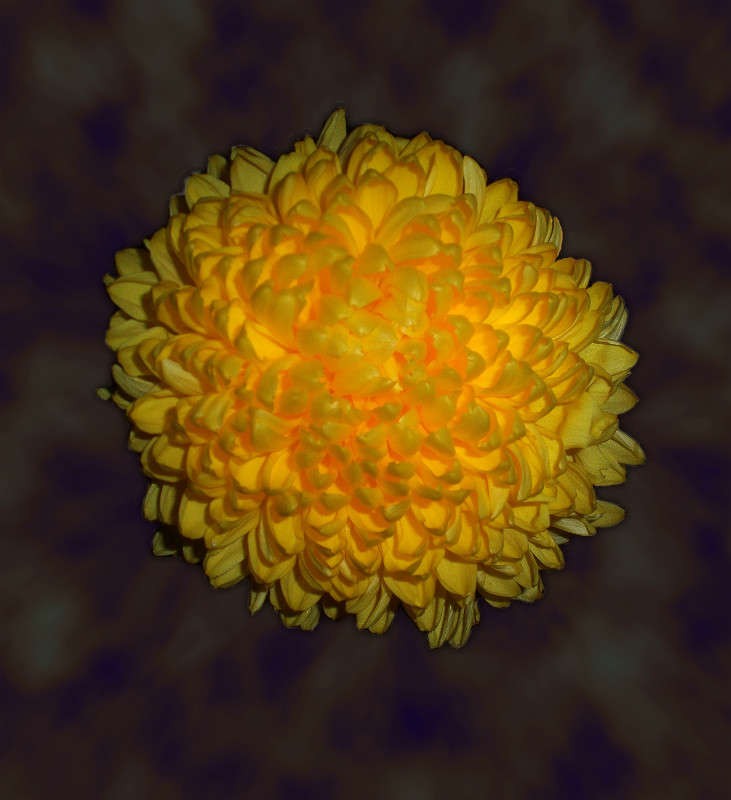 ��� ��������� ����� ����� ������� �� PhotoGeek.ru #������ ��� �������