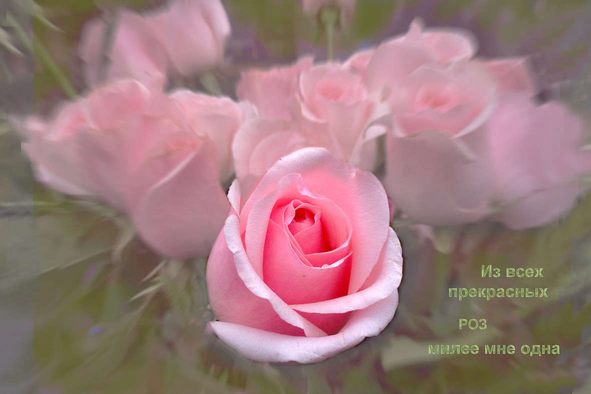  " "     PhotoGeek.ru #  
