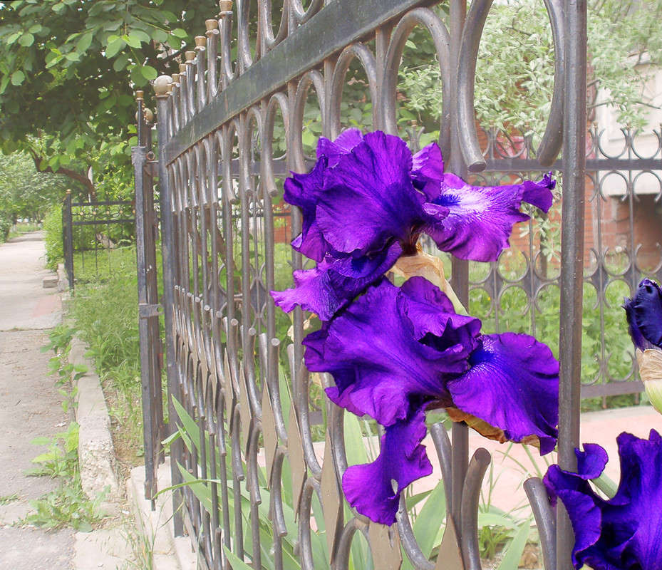 ����������� ����� ����� ������� �� PhotoGeek.ru #������ ��� �������