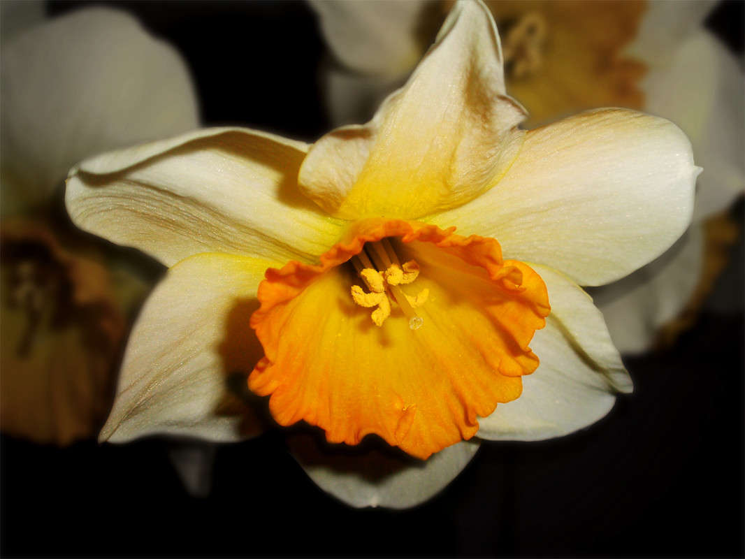 ������ ����� ����� ������� �� PhotoGeek.ru #������ ��� ������� #����� �������������� #�����