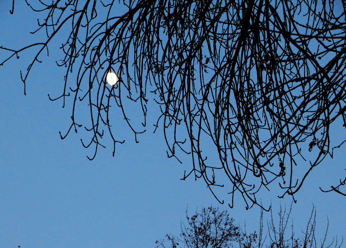 ���������� � ������ ����� ����� ������� �� PhotoGeek.ru #������ ��� �������