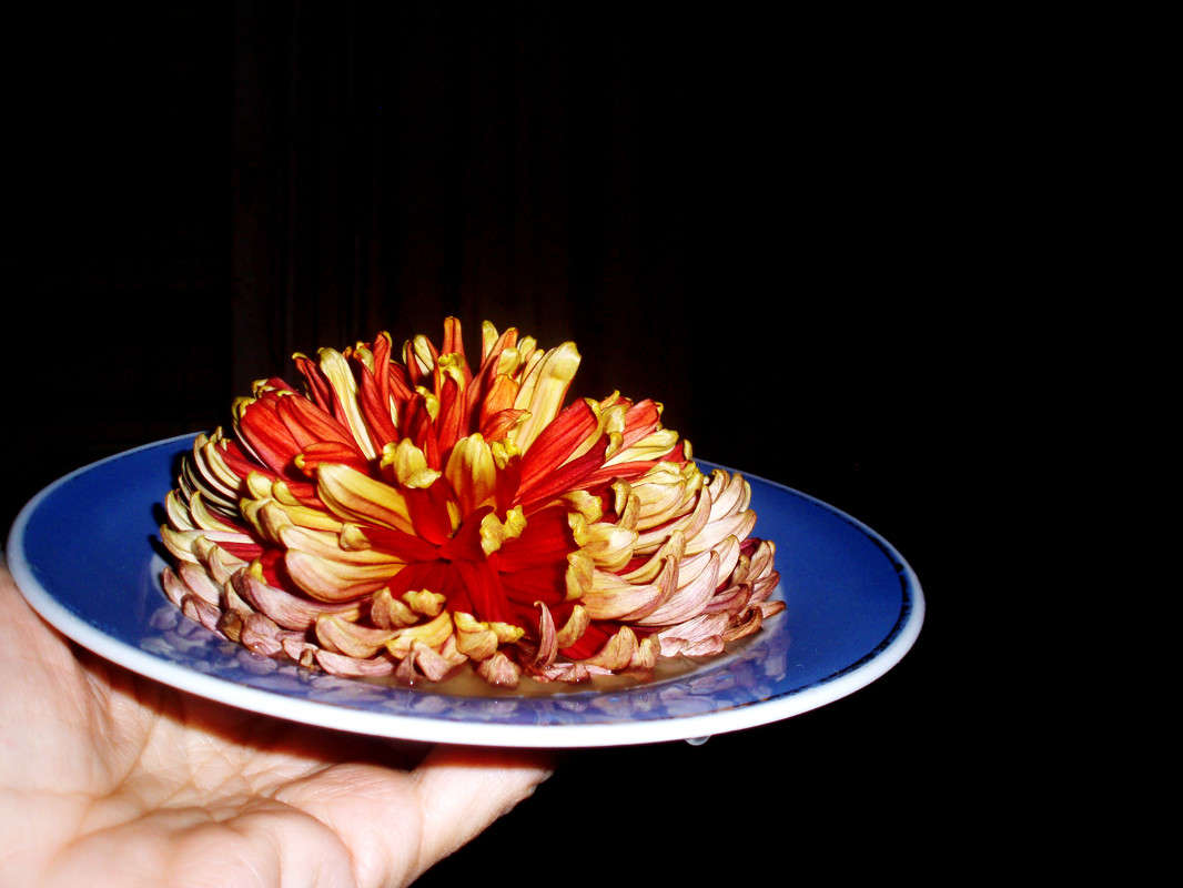 �� �������� � ������� ��������. ����� ����� ������� �� PhotoGeek.ru #���������