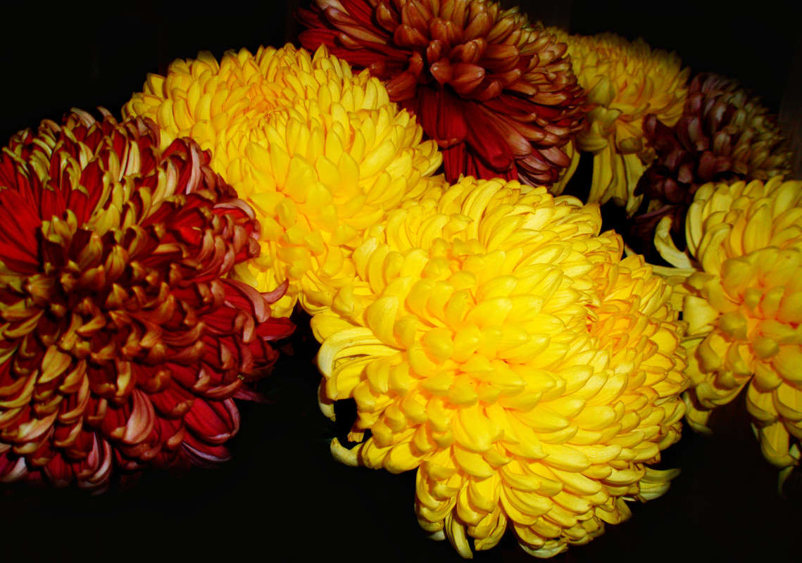 ���������� �� ������ ����� ����� ������� �� PhotoGeek.ru #������ ��� ������� #�����