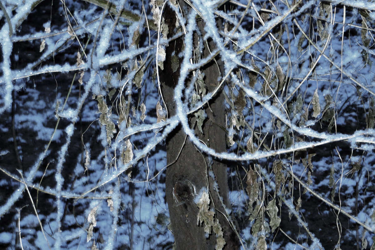 ���� ��������� � ����� ����� ����� ������� �� PhotoGeek.ru #������ ��� �������