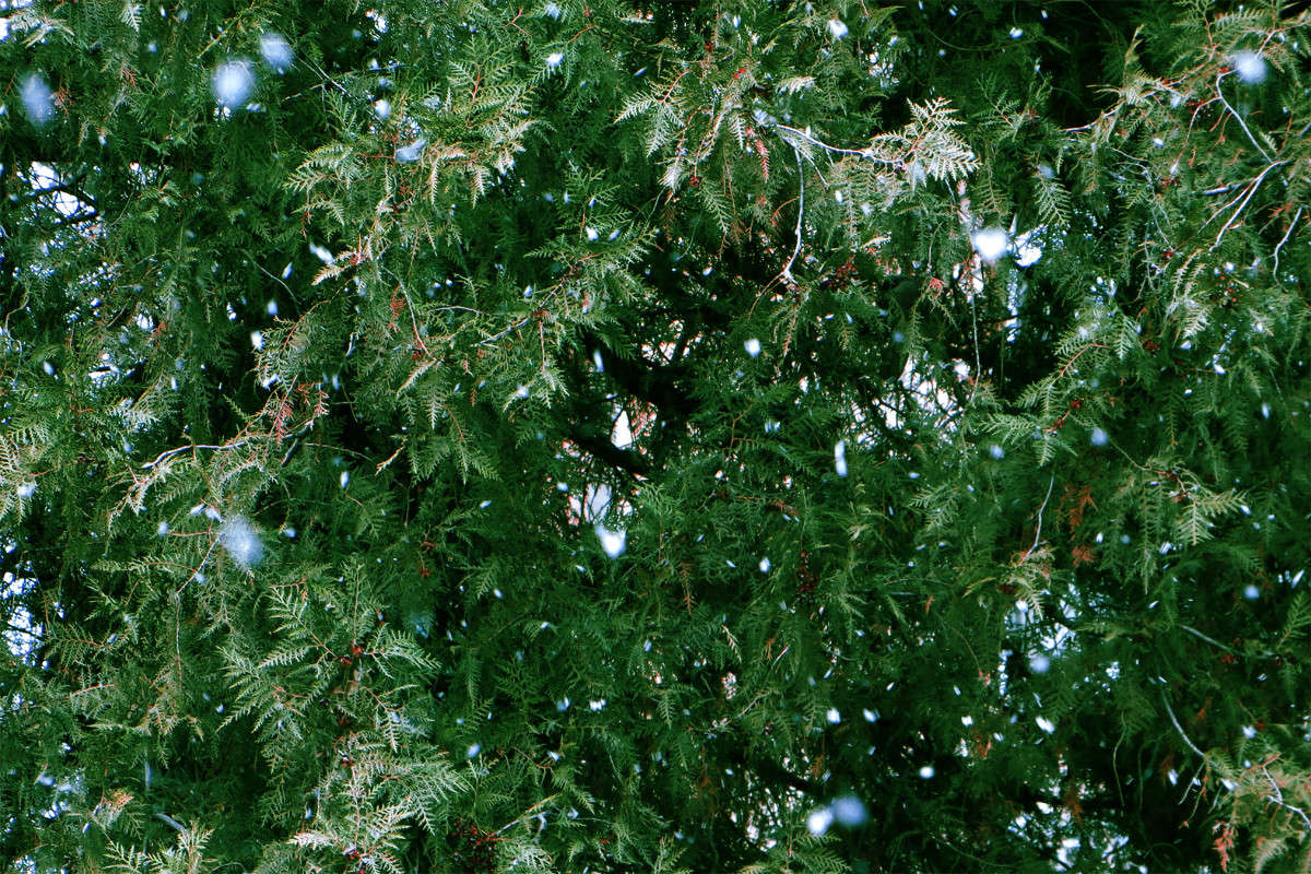 ��������, ��� ������� ����� ����� ������� �� PhotoGeek.ru #������ ��� ������� #���������