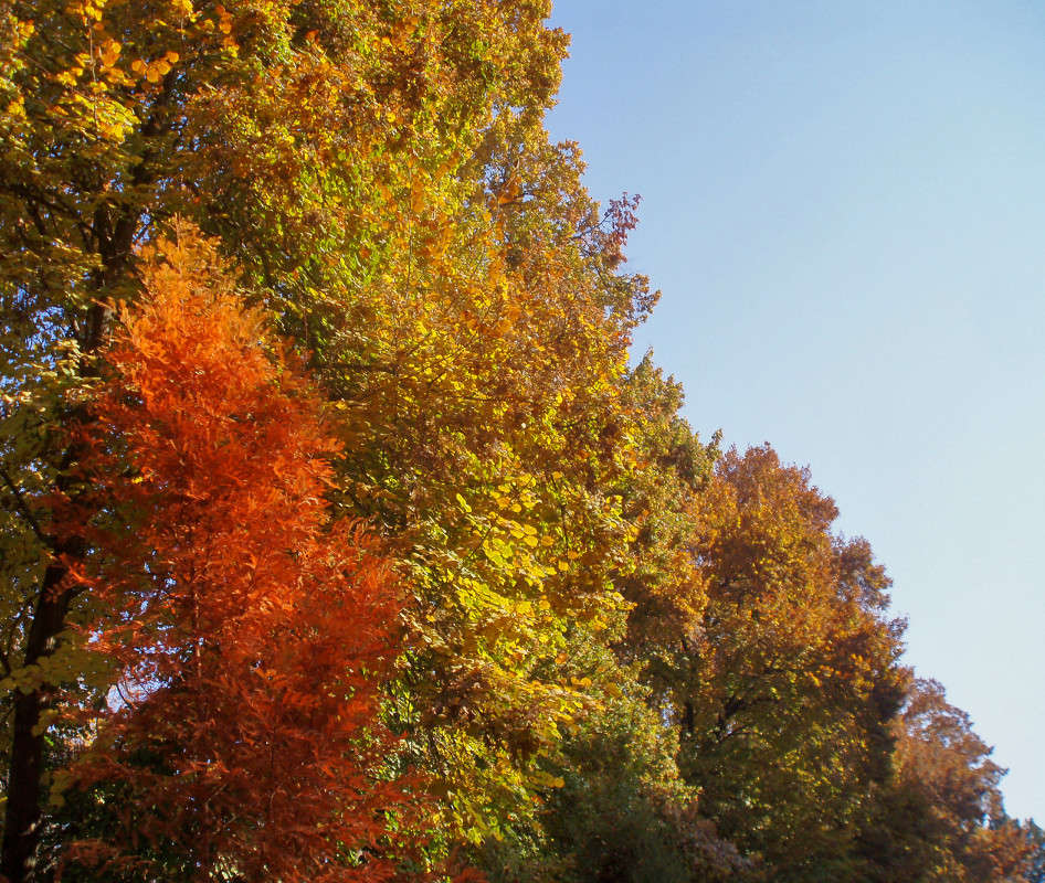 ��, �����... ����� ����� ������� �� PhotoGeek.ru #������ ��� �������