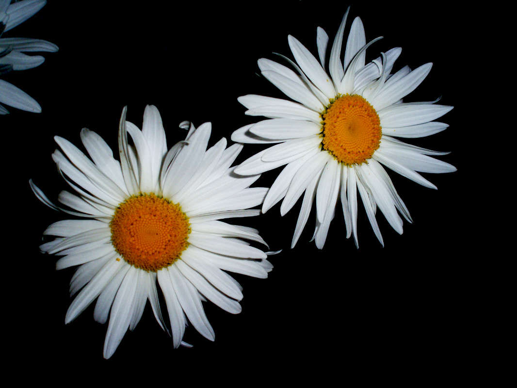 ... ����� ����� ������� �� PhotoGeek.ru #�����