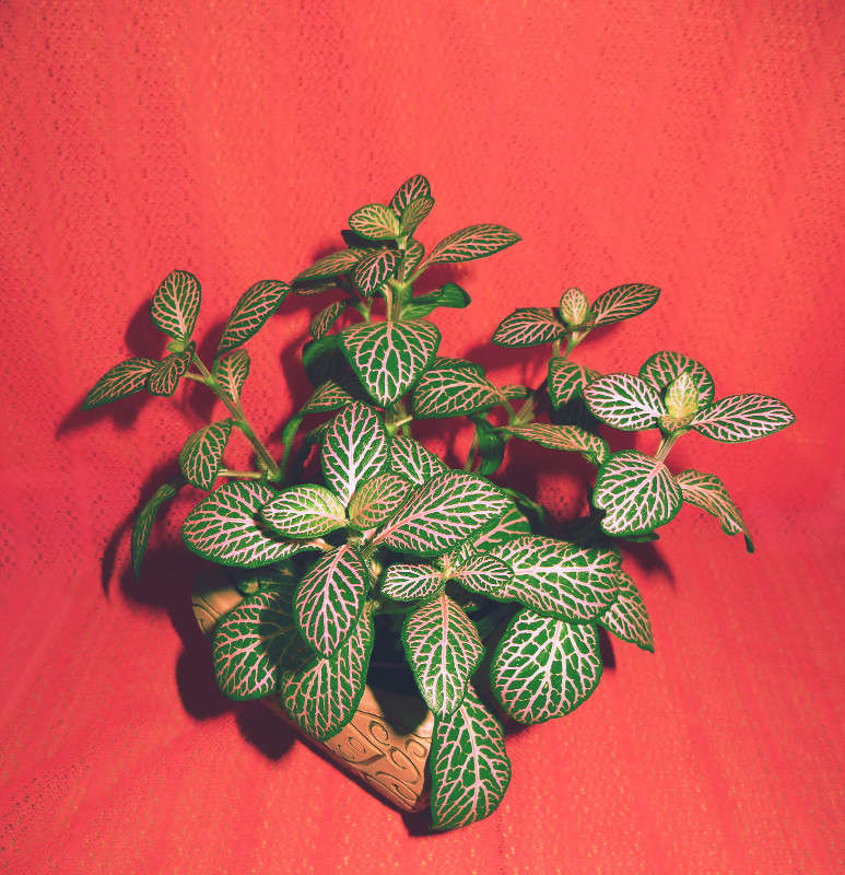 ������� ����� ����� ������� �� PhotoGeek.ru #�����