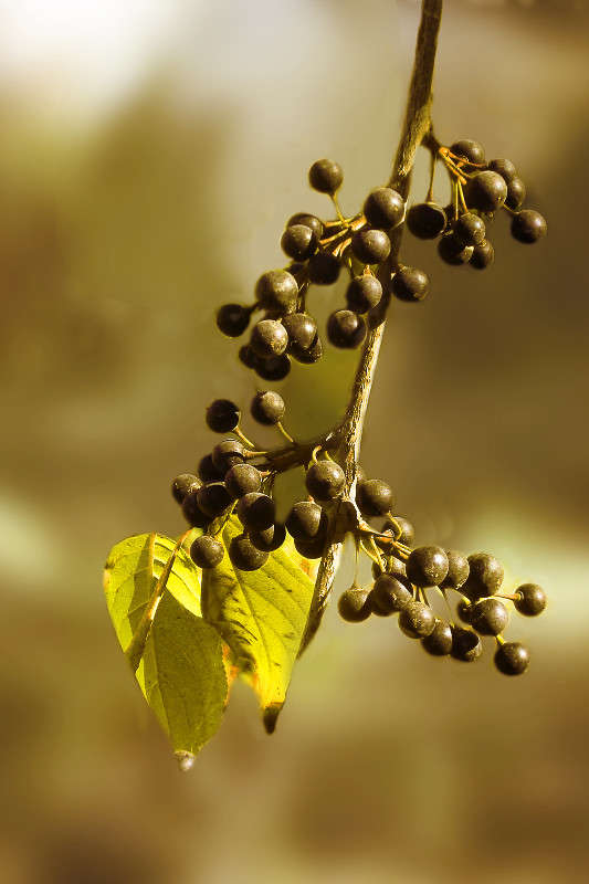 ������� ����� ����� ������� �� PhotoGeek.ru #������ ��� ������� #����� ��������������