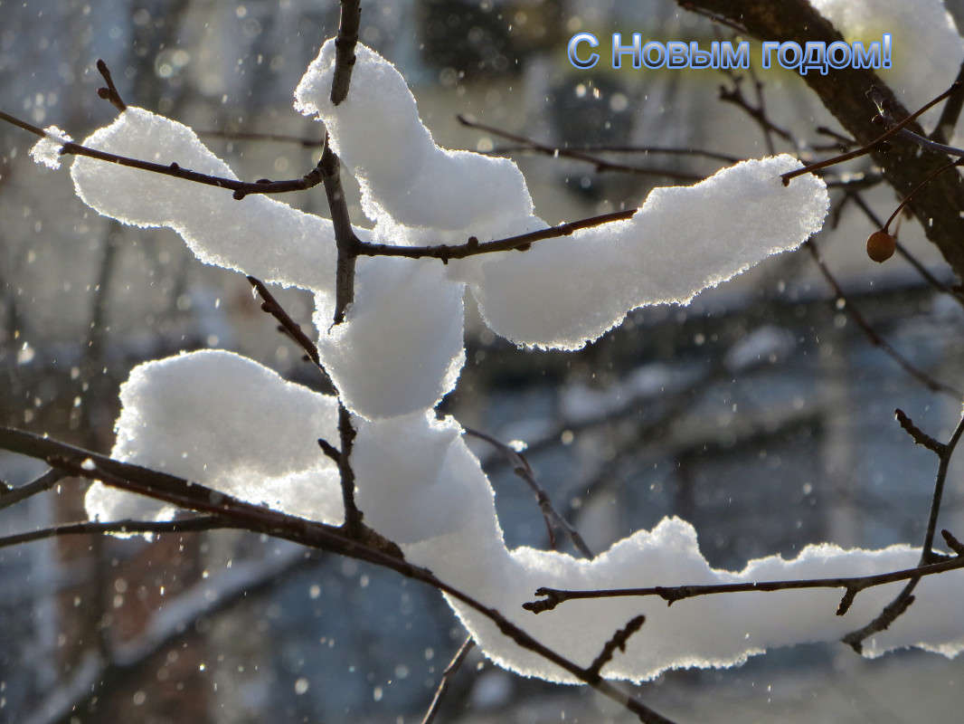 ������ � ����� ���! ����� ����� ������� �� PhotoGeek.ru #������ ��� �������