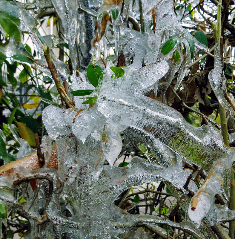 ����� �� ���������� ����� ����� ������� �� PhotoGeek.ru #������ ��� �������