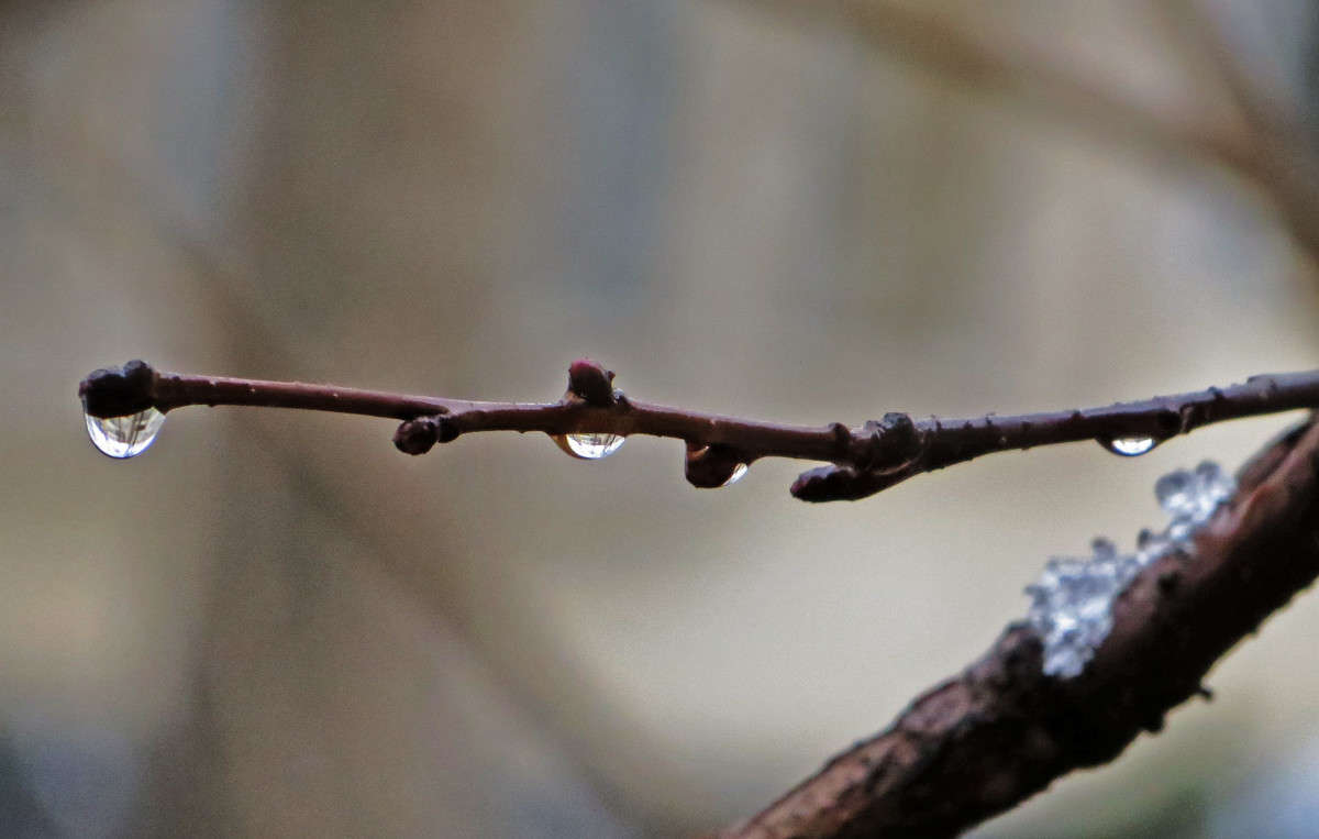 ����������� ���� ����� ����� ������� �� PhotoGeek.ru #������ ��� ������� #���������