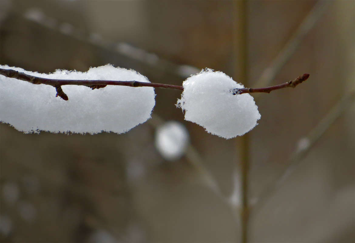 ������� ������ ����� ����� ������� �� PhotoGeek.ru #����� #������ ��� ������� #���������