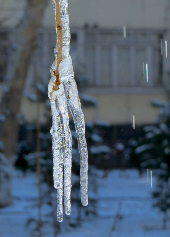 ������ � ����� ����� ����� ������� �� PhotoGeek.ru #����� #������ ��� ������� #���������