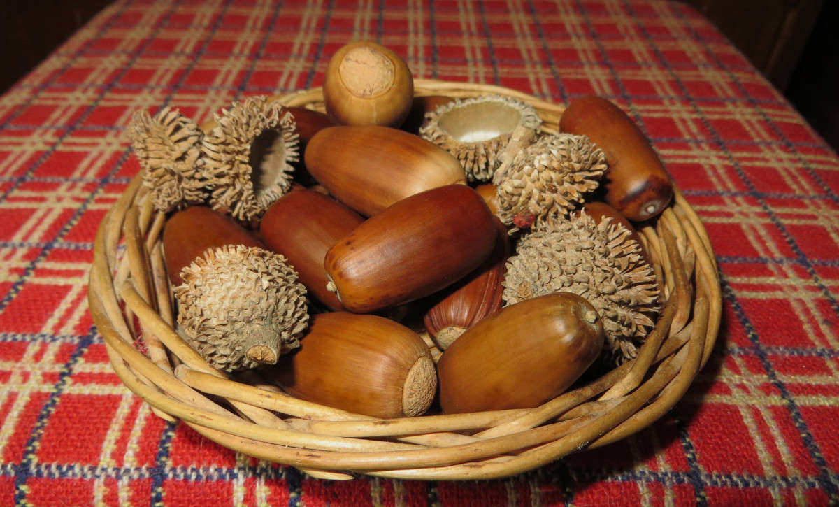 ��������� ����� ����� ����� ������� �� PhotoGeek.ru #�����