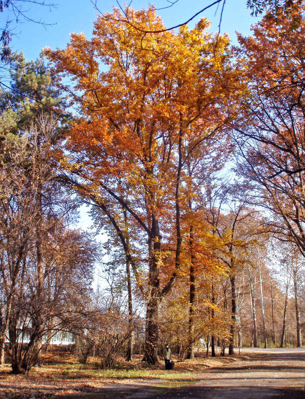 ��� ����� ����� ������� �� PhotoGeek.ru #������ ��� �������