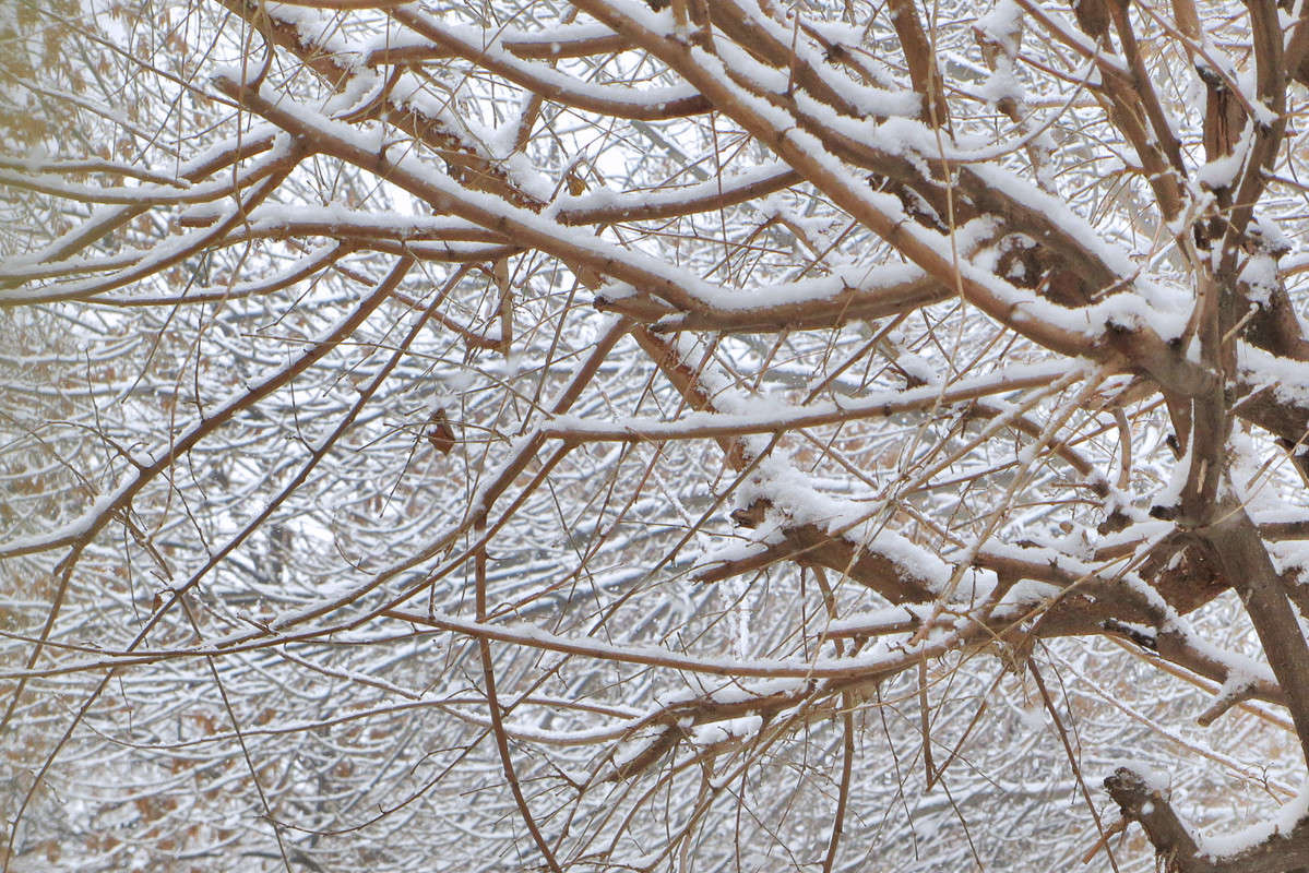 ��� �������� ����... ����� ����� ������� �� PhotoGeek.ru #������ ��� ������� #���������