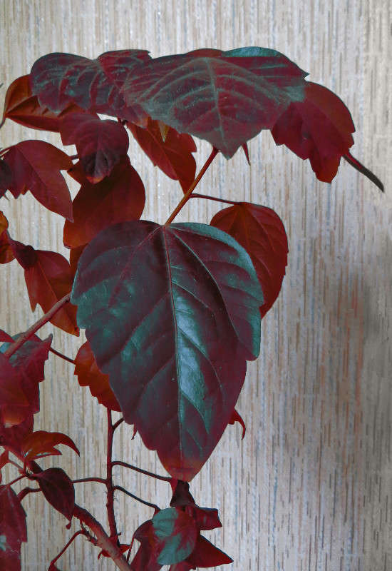 ������� �� canon ����� ����� ������� �� PhotoGeek.ru #����� #����� ��������������