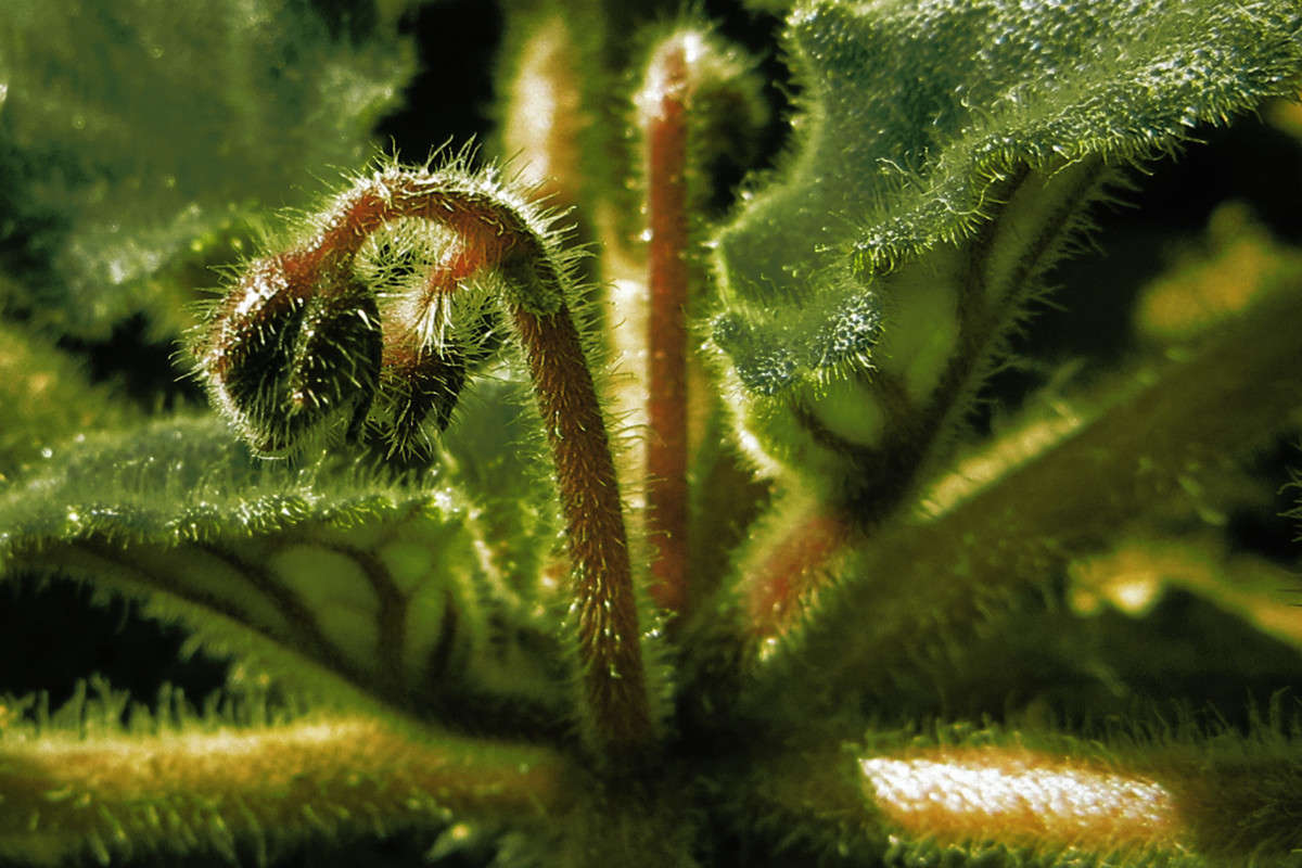 � ���� ��������� ������ ����� ����� ������� �� PhotoGeek.ru #������ ��� ������� #����� ��������������