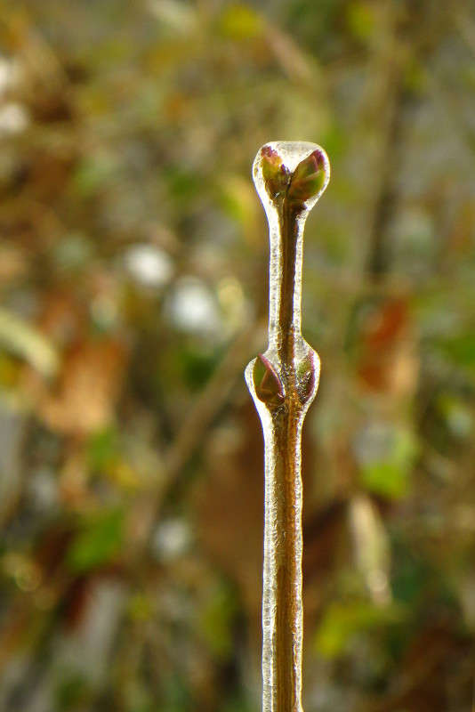 ��������� �������... ����� ����� ������� �� PhotoGeek.ru #������ ��� ������� #����� ��������������