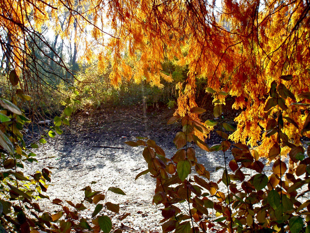 ���������� ������ ����� ����� ������� �� PhotoGeek.ru #������ ��� ������� #���������